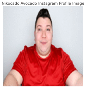 <img src="https://yourdomain.com/path-to/nikocado_instagram_profile.jpg" alt="Nikocado Avocado Instagram" style="width: 120px; height: 120px; border-radius: 50%; border: 3px solid #eaeaea; object-fit: cover;"> 