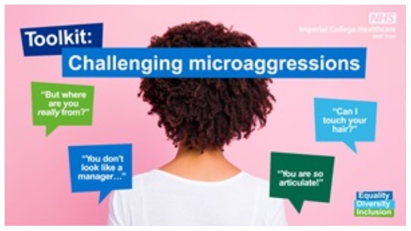 Challenging Microaggressions: Fostering Respectful Workplaces Through Everyday Awareness