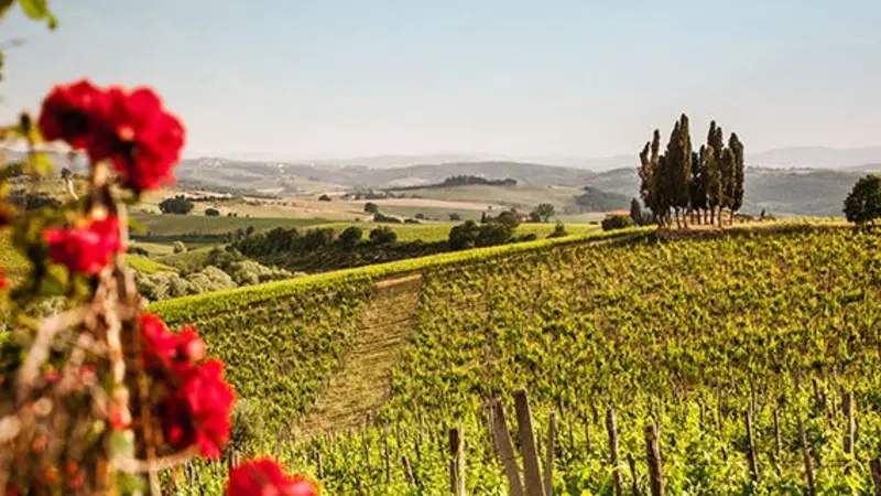 Luxury Lifestyle & Discreet Companionship Experiences in Tuscany