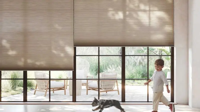 Creative Solutions for Window Coverings in Homes