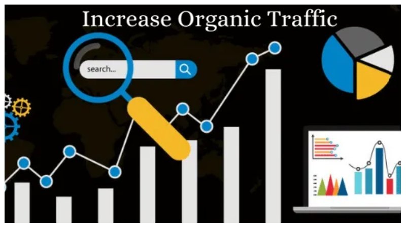 Effective Tactics to Increase Organic Traffic Through Local SEO